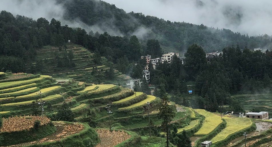 一个“吃货”的梦想启示录：如何把大山深处的美味带到全国”